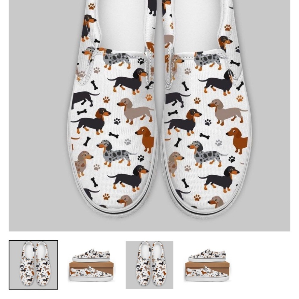 Weiner dog shoes